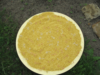 labyrinth er�ffnung verden belindadikeck